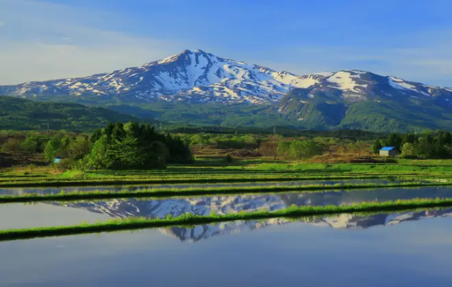 農業経営をフルサポート